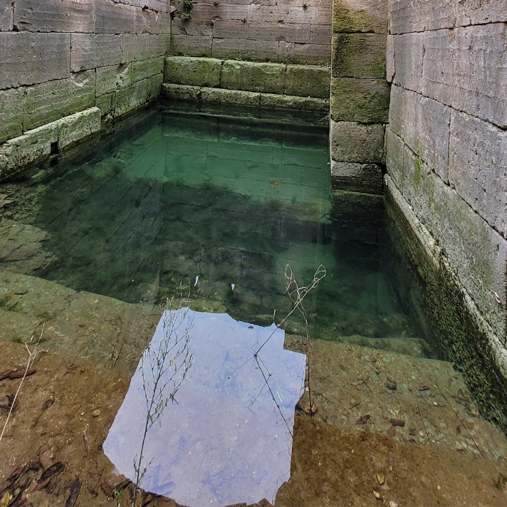 The sacred spring